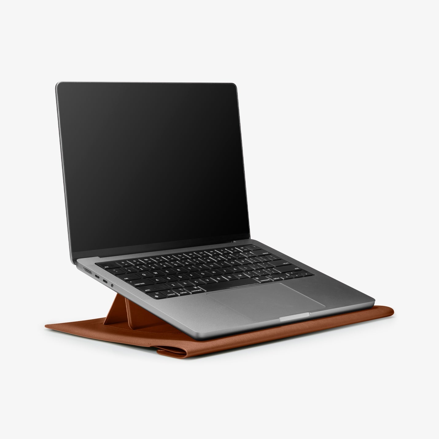 Valentinus S Laptop Pouch