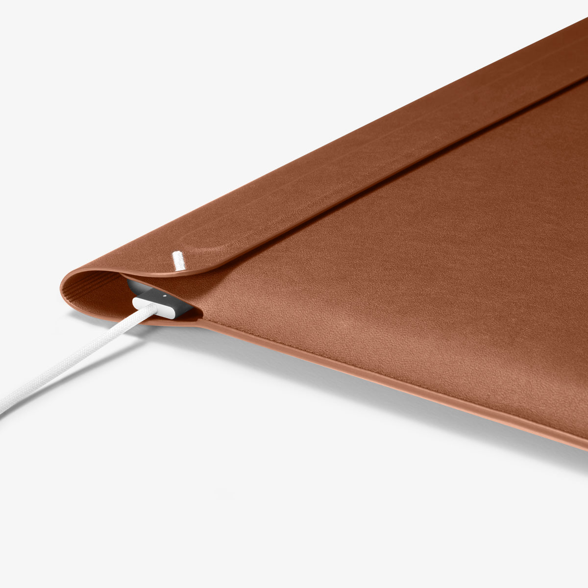 Valentinus S Laptop Pouch