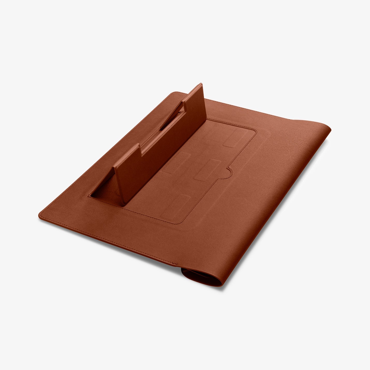 Valentinus S Laptop Pouch