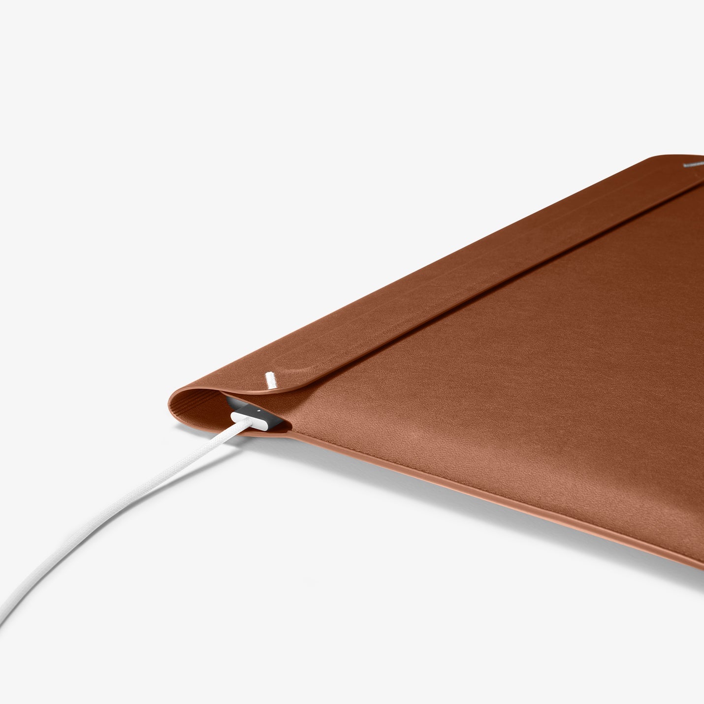 Valentinus S Laptop Pouch
