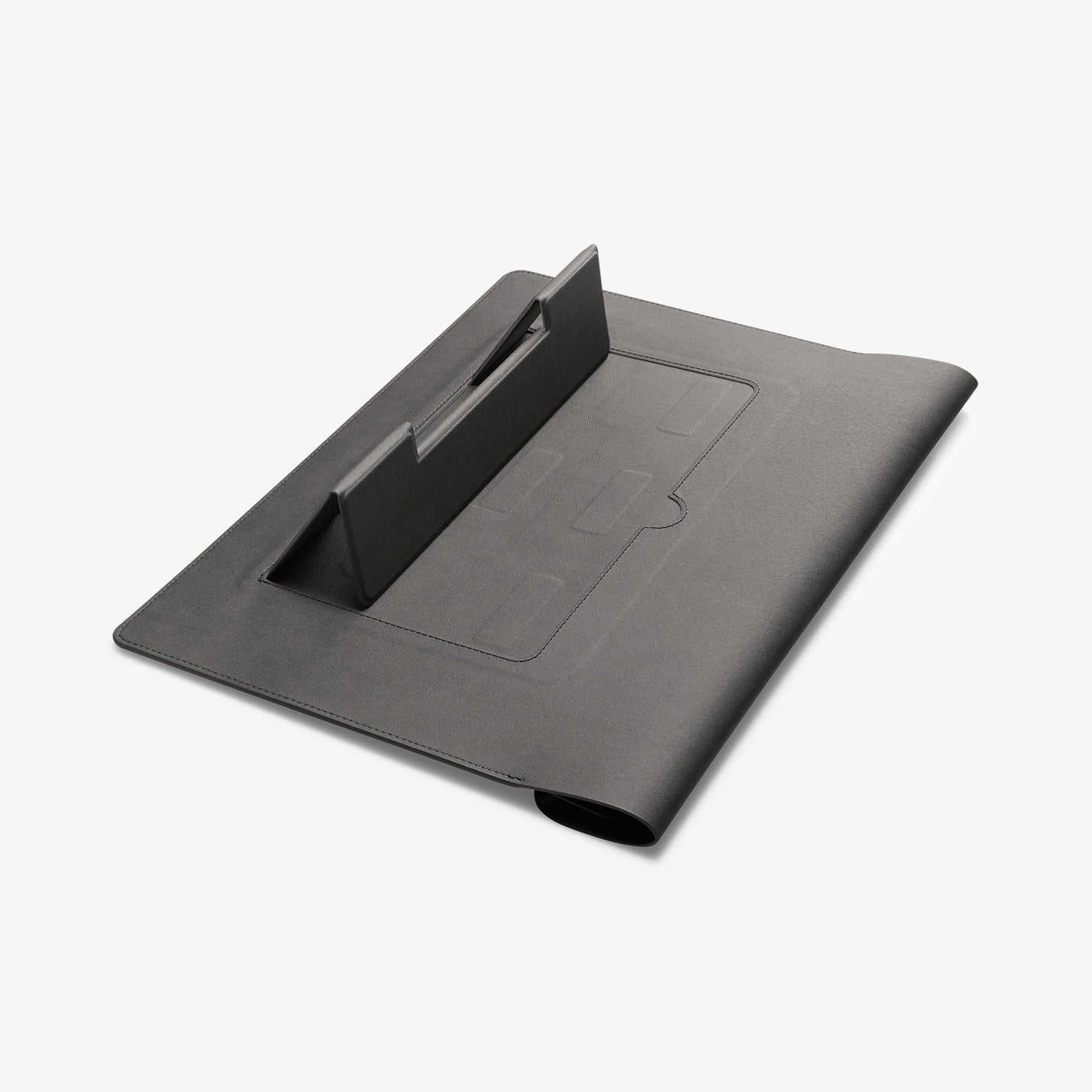 Valentinus S Laptop Pouch