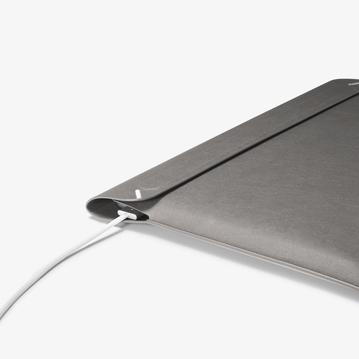 Valentinus S Laptop Pouch