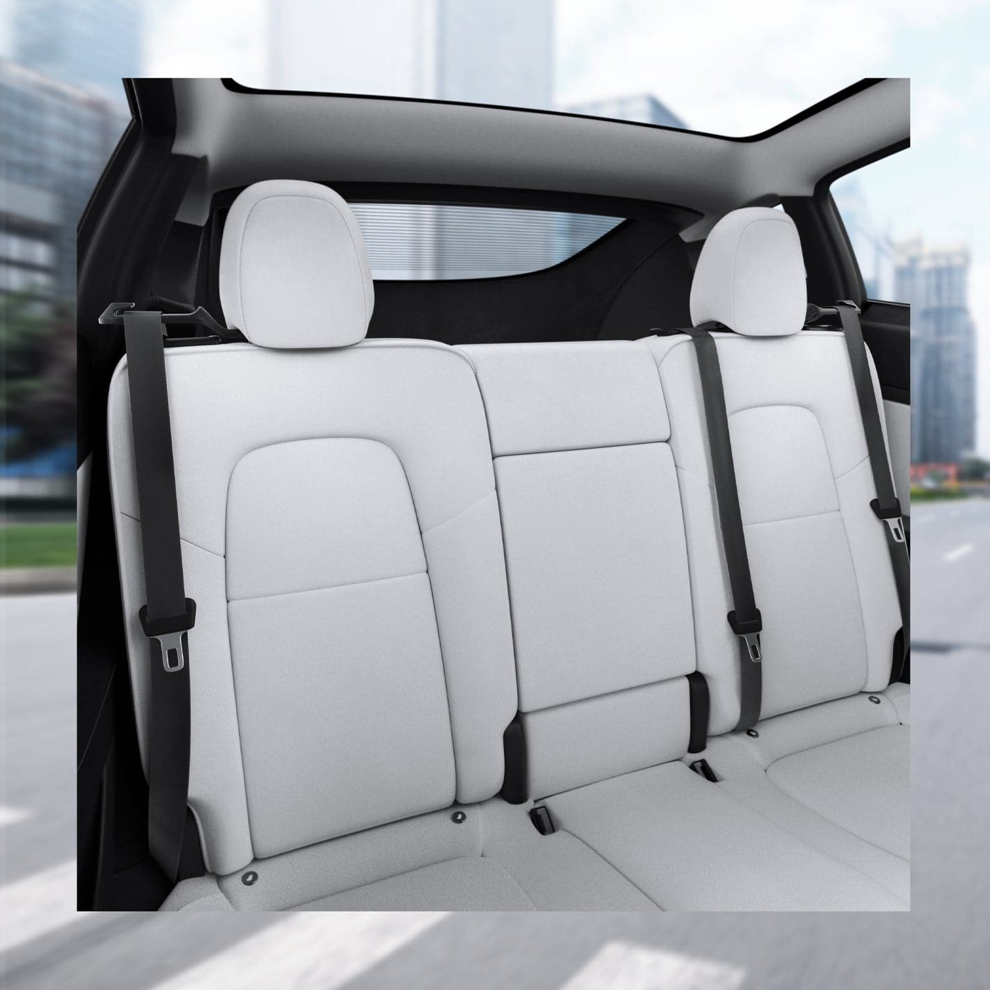 Tesla Series - Backseat Seatbelt Guide | TO250